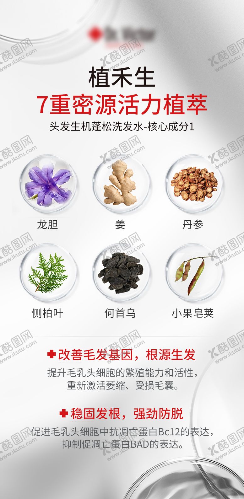 编号：14790010112055239299【酷图网】源文件下载-成分海报