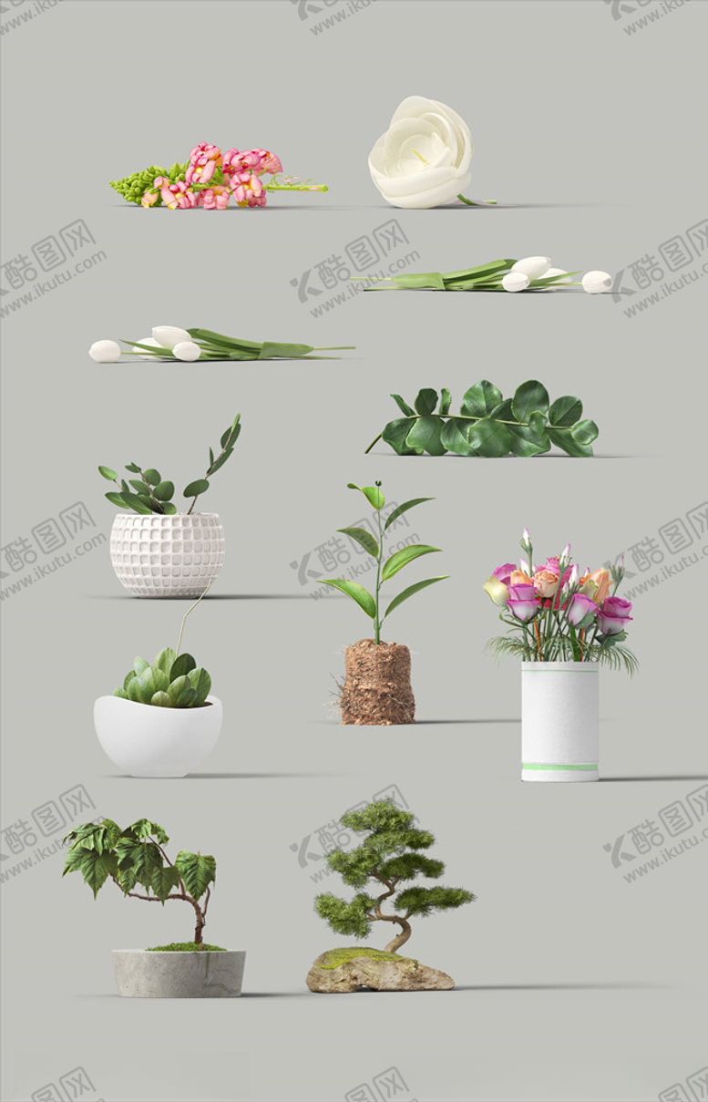 编号：33543206171006209003【酷图网】源文件下载-化妆品样机
