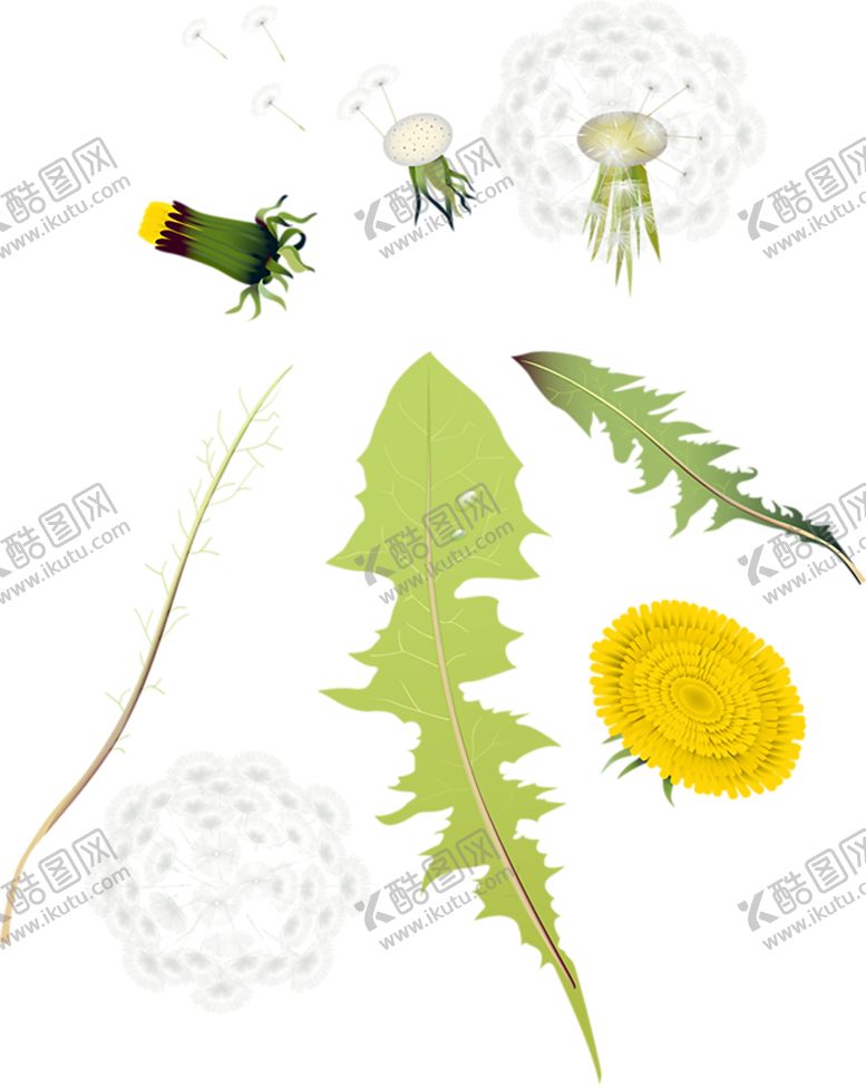 编号：39808606261649385795【酷图网】源文件下载-绿色相框