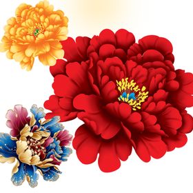 国画牡丹花