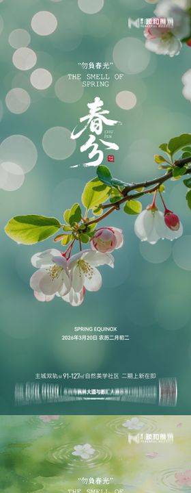 春分节日节气海报春天