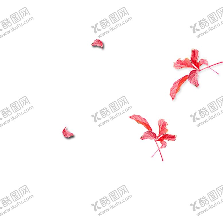 编号：40756205150302209682【酷图网】源文件下载-手绘植物花卉