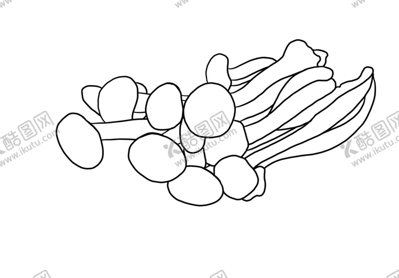 编号：32782706251155196820【酷图网】源文件下载-茶树菇
