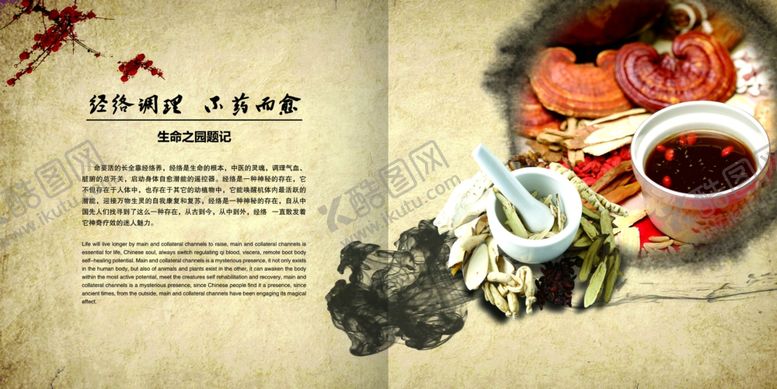 编号：99524109261339565349【酷图网】源文件下载-养生健康海报