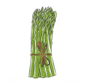 手绘蔬菜插画