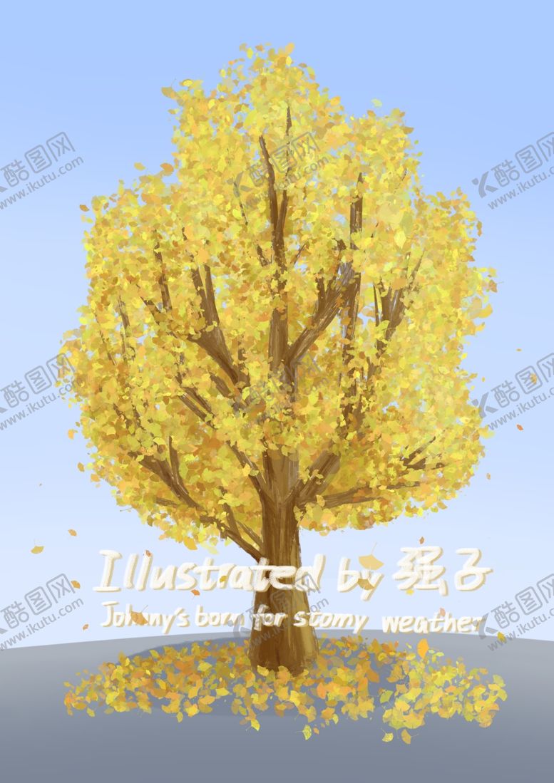 编号：27785311031215355672【酷图网】源文件下载-秋天路旁金黄的银杏树