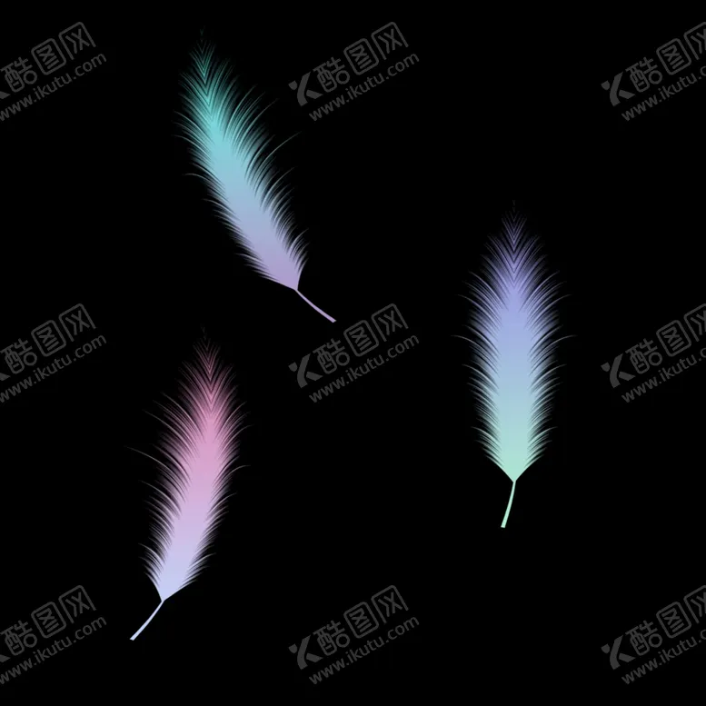 编号：39211802030421562539【酷图网】源文件下载-彩色羽毛