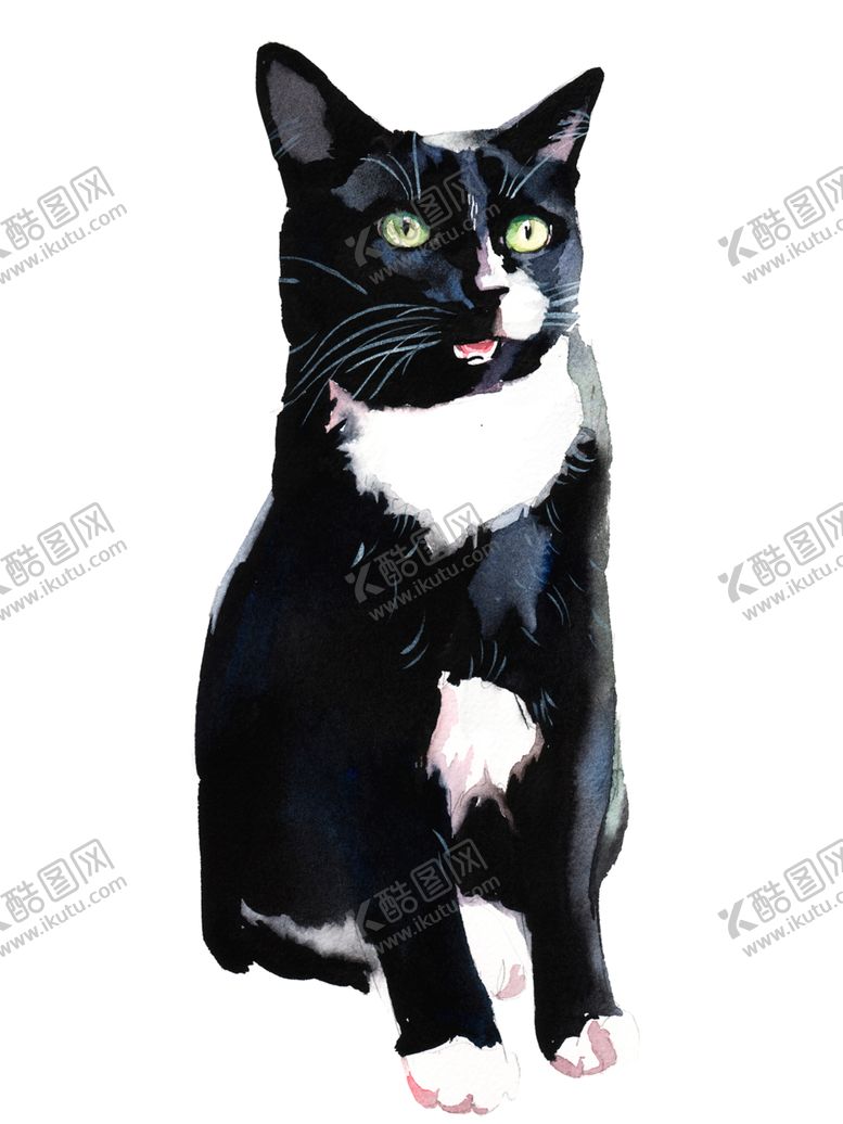 编号：16047801210952462165【酷图网】源文件下载-猫 