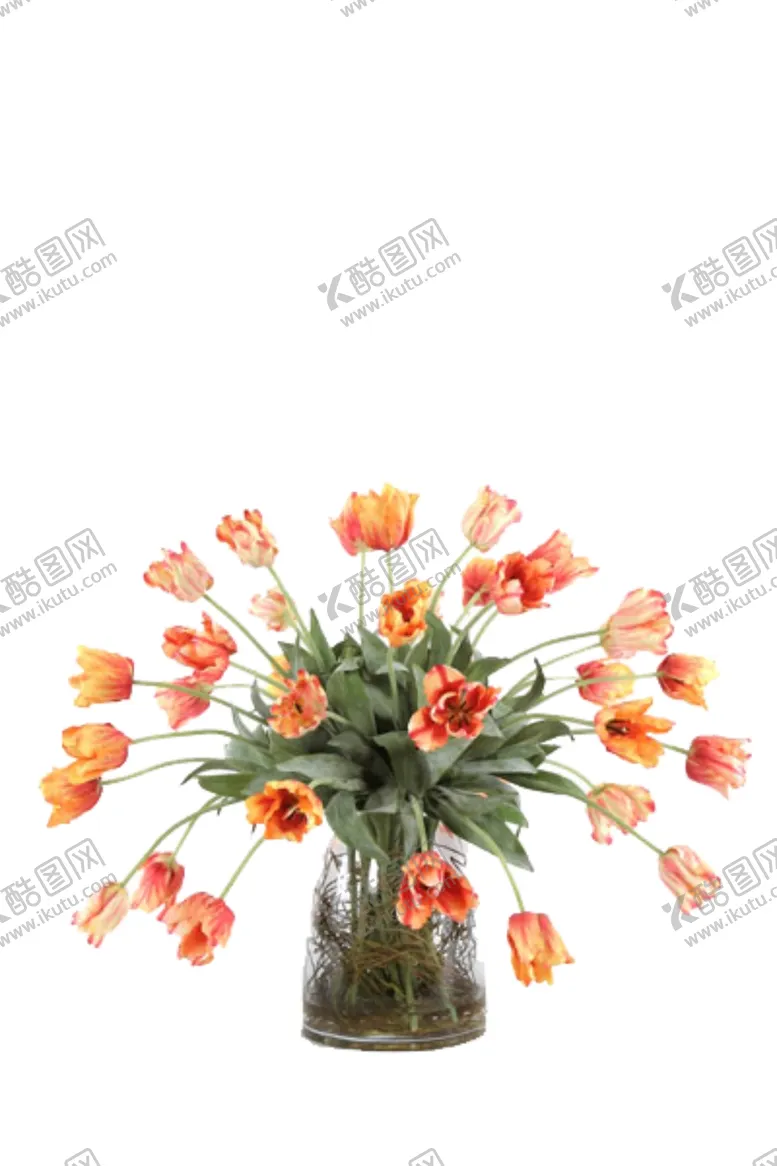 编号：75836206241657315859【酷图网】源文件下载-免抠背景花草树木