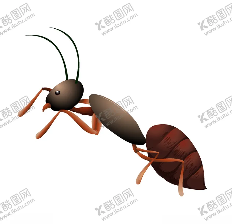 编号：12621604162114496828【酷图网】源文件下载-矢量卡通蚂蚁