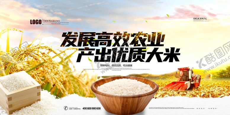 编号：79546309160448082135【酷图网】源文件下载-水稻大米田地梯田
