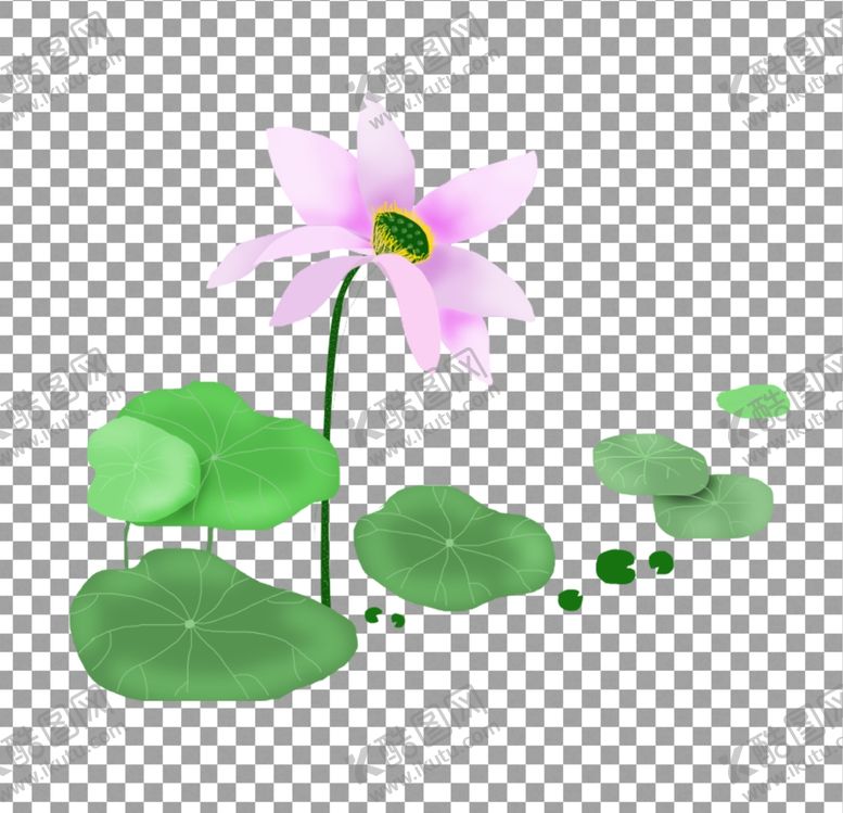 编号：94147109190755062942【酷图网】源文件下载-荷花