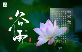 谷雨