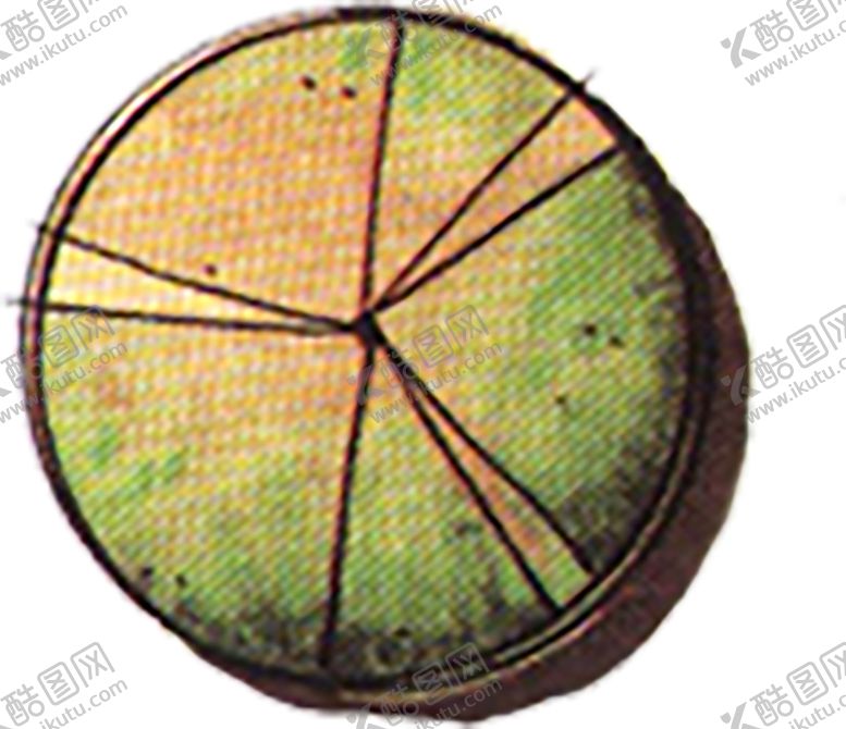 编号：31695210120444019695【酷图网】源文件下载-植物