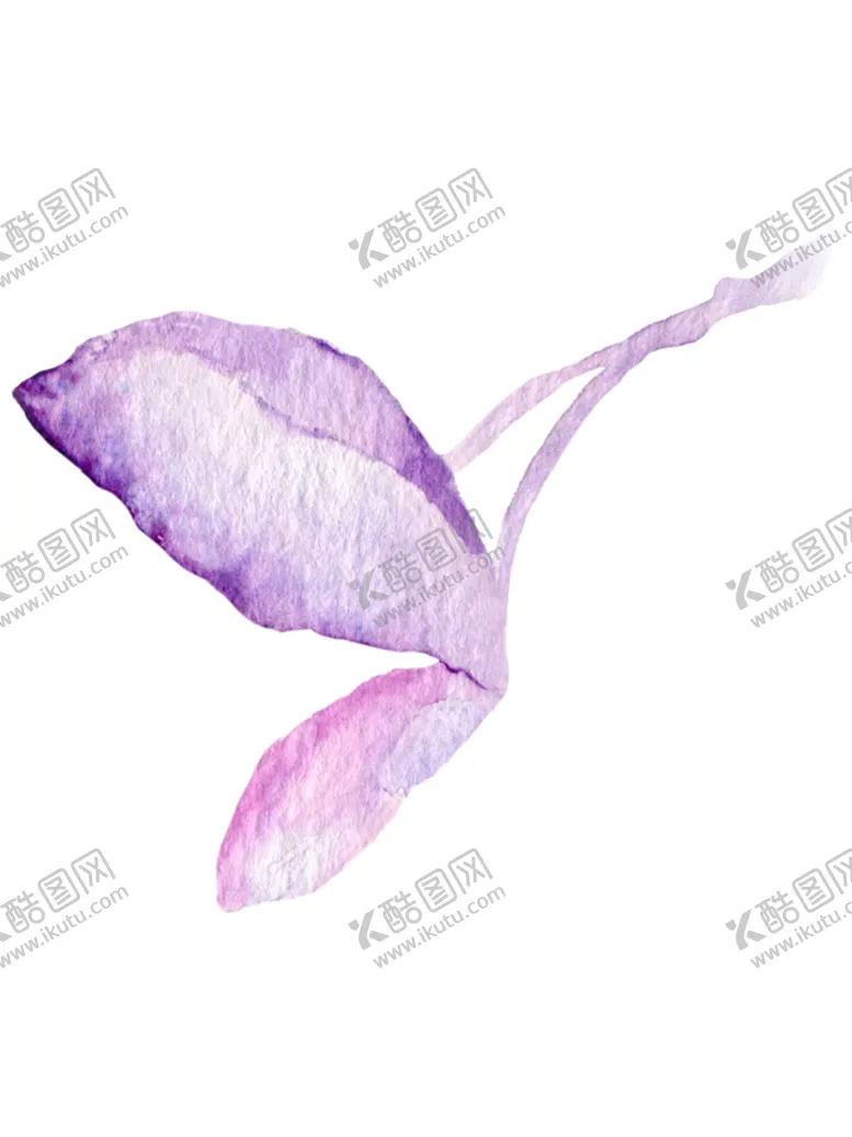 编号：17887902041524306712【酷图网】源文件下载-花卉背景