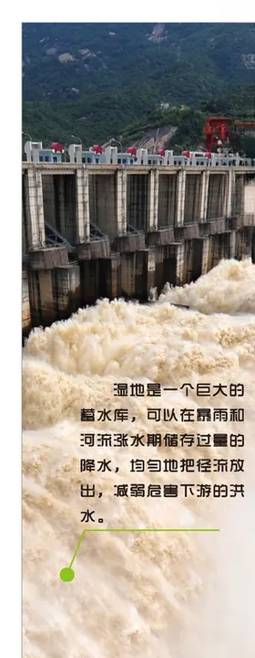 湿地大坝