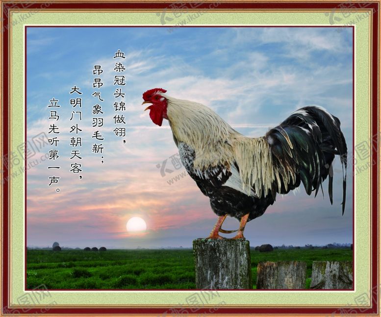 编号：91900909121535311426【酷图网】源文件下载-大公鸡