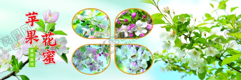 编号：53897610310136448976【酷图网】源文件下载-春日花卉苹果花
