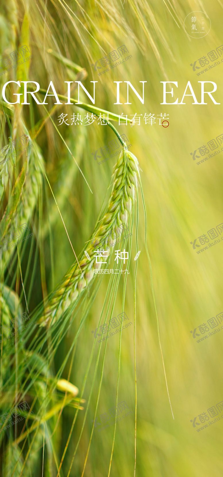 编号：63866002212003009225【酷图网】源文件下载-芒种