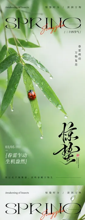 惊蛰节令节气孩子植物瓢虫蜗牛