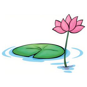 荷花素材夏天叶插画夏日