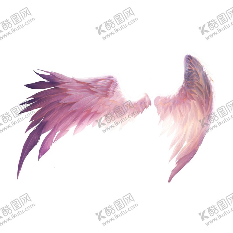 编号：57579010212305453608【酷图网】源文件下载-翅膀