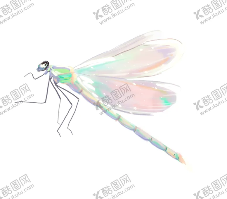 编号：50310605051633136910【酷图网】源文件下载-夏日昆虫蜻蜓插画