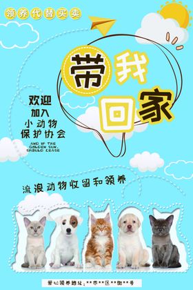 领养宠物