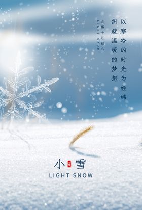 小雪单页飞机稿海报地产