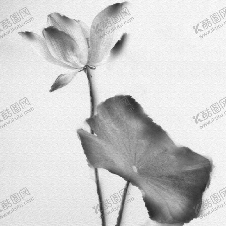 编号：25364304172133484333【酷图网】源文件下载-中国风水墨莲花插画