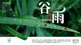谷雨