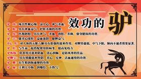 驴肉