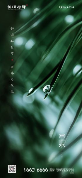 地产雨水节气移动端海报