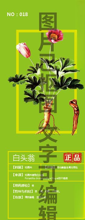 白头翁