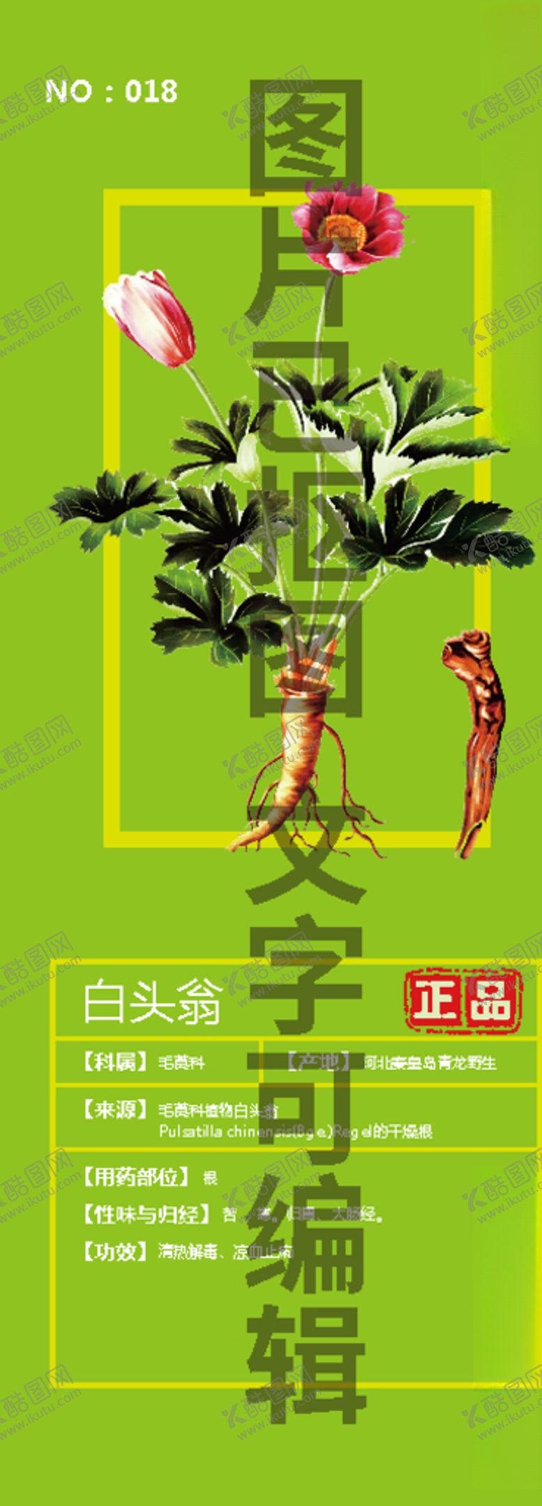 编号：99112905130824108243【酷图网】源文件下载-白头翁