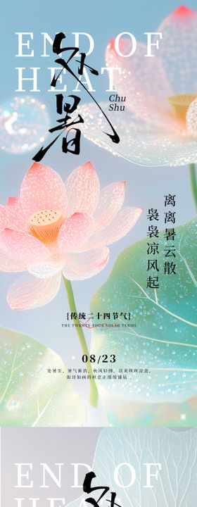 处暑24节气夏天透明露珠荷花唯美海报