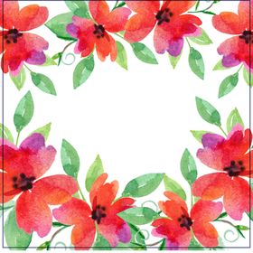 鲜花素材康乃馨小清新朵矢车菊朵