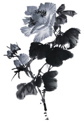 百花争艳国画水墨画红