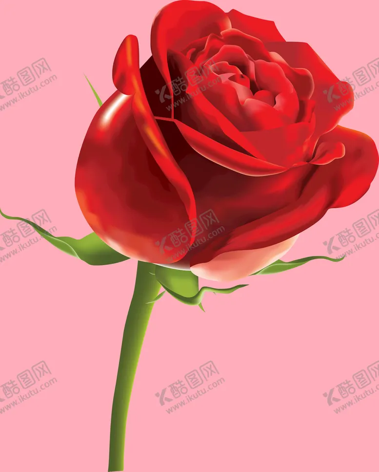 编号：02791809241418487904【酷图网】源文件下载-玫瑰花