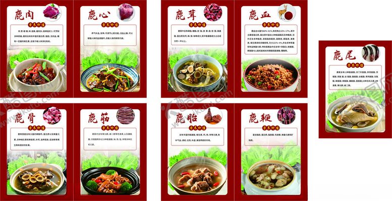 编号：23933502051335353115【酷图网】源文件下载-鹿肉营养价值