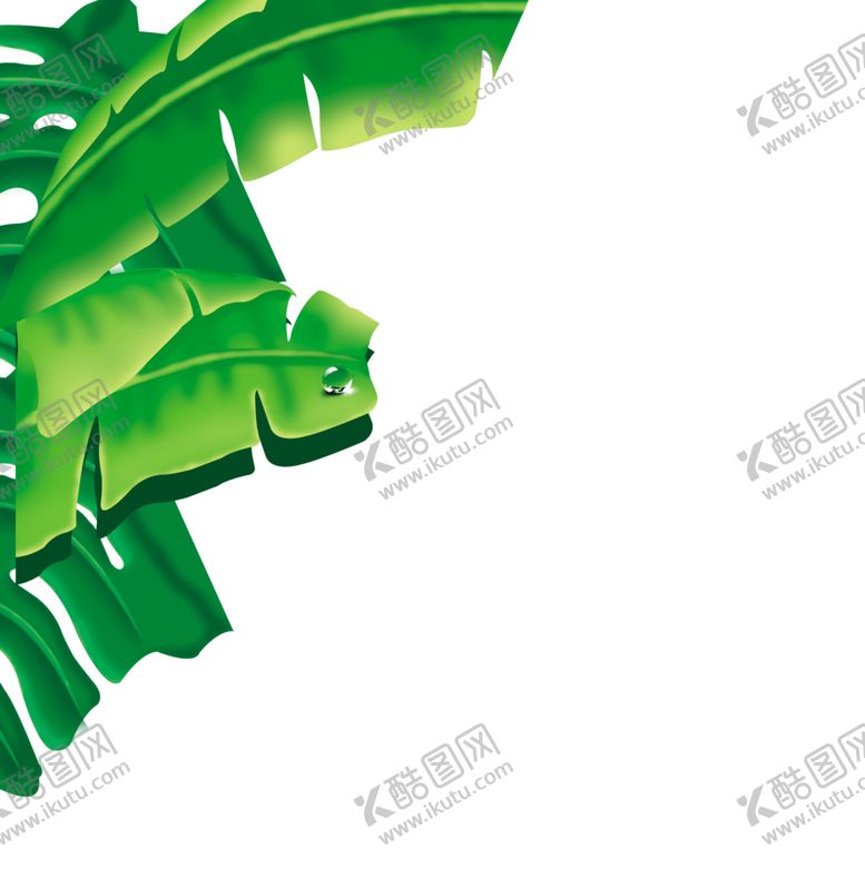 编号：55040309270957558122【酷图网】源文件下载-芭蕉叶热带