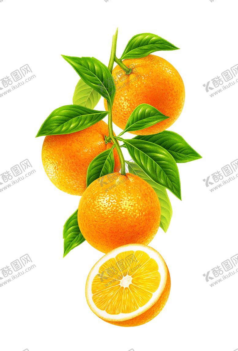 编号：45332107032208533243【酷图网】源文件下载-水果