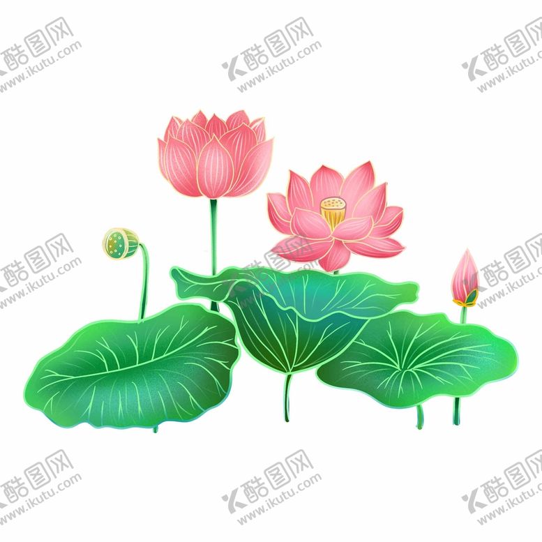 编号：74536211032218304900【酷图网】源文件下载-手绘荷花