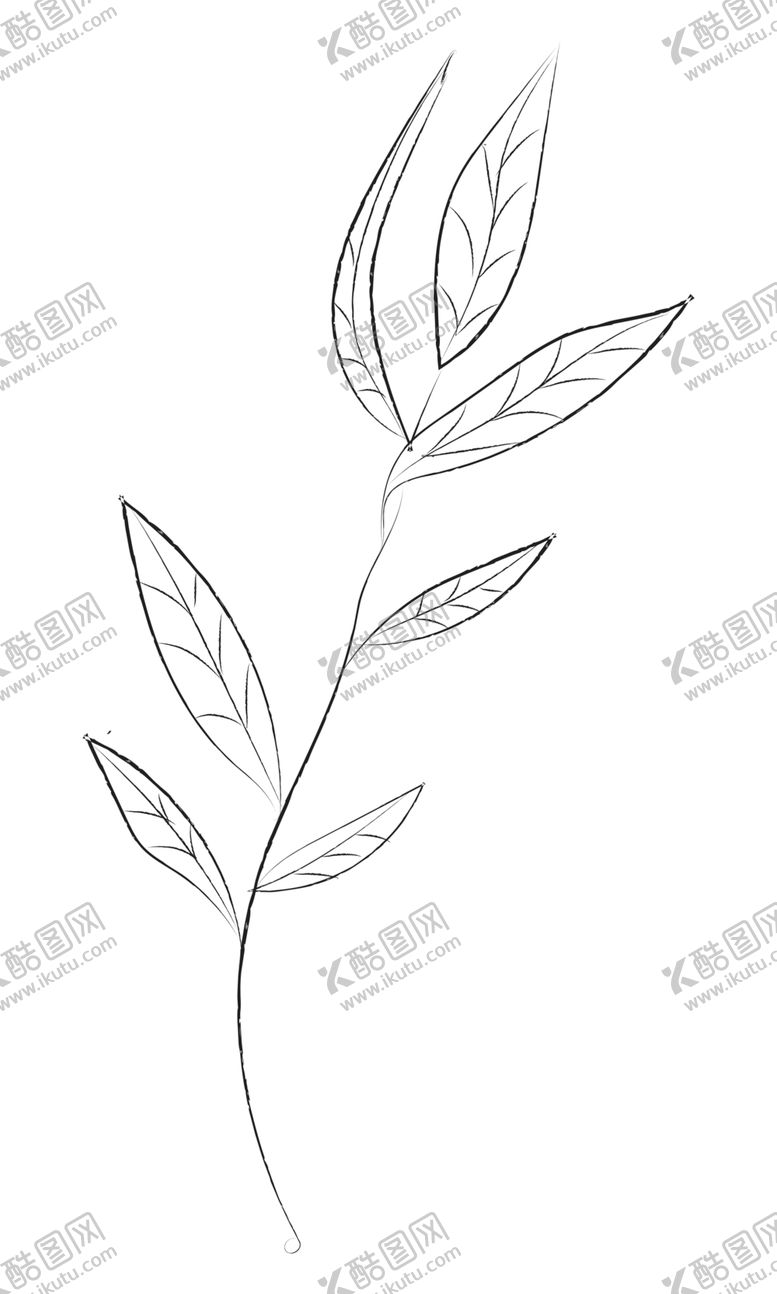 编号：63745206261547175045【酷图网】源文件下载-手绘植物花卉