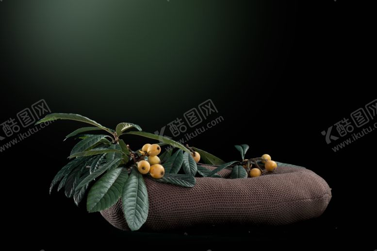 编号：42418610150534261100【酷图网】源文件下载-宝宝照相册