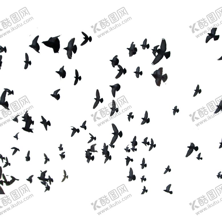 编号：48679607041914503529【酷图网】源文件下载-飞翔的鸽群