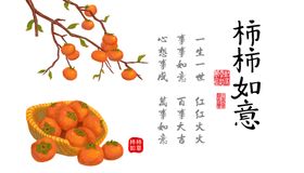 柿柿如意兔子