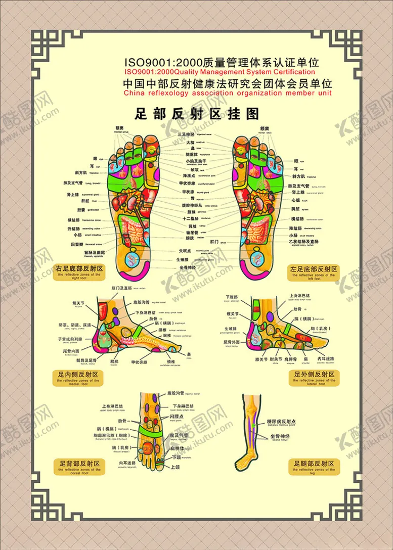 编号：85560302191139258782【酷图网】源文件下载-足部反射区海报