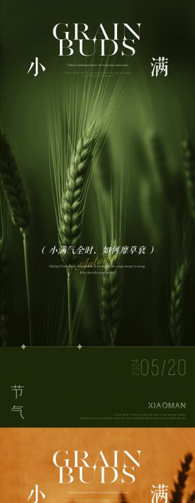 小满节气海报麦田麦穗艺术系列