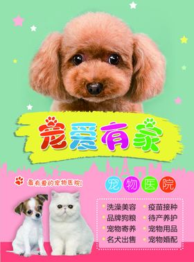 宣传页正面A4纸
